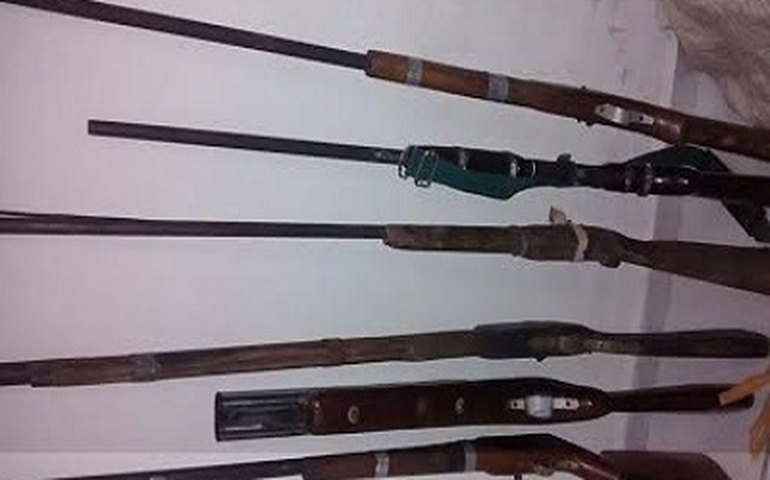 Operação da Copes prende seis acusados de furto de mais de 200 animais