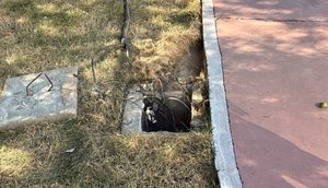 Furto no Calçadão da 13 de Julho