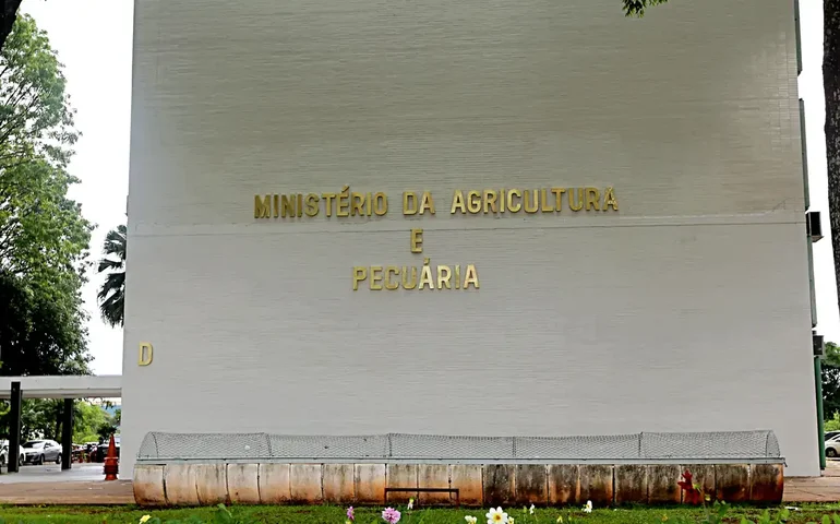 COP29: Agricultura apresenta programa de recuperação de pastagens degradadas em painel