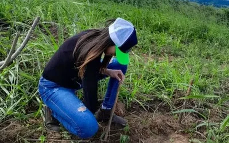 Sistema Agroflorestal em Arapiraca fortalece produção sustentável