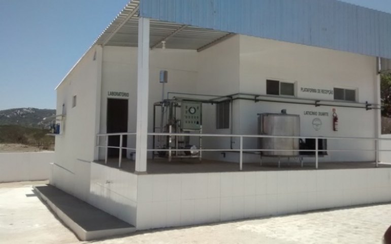 Laticínios iniciam uma nova realidade no Sertão de Alagoas
