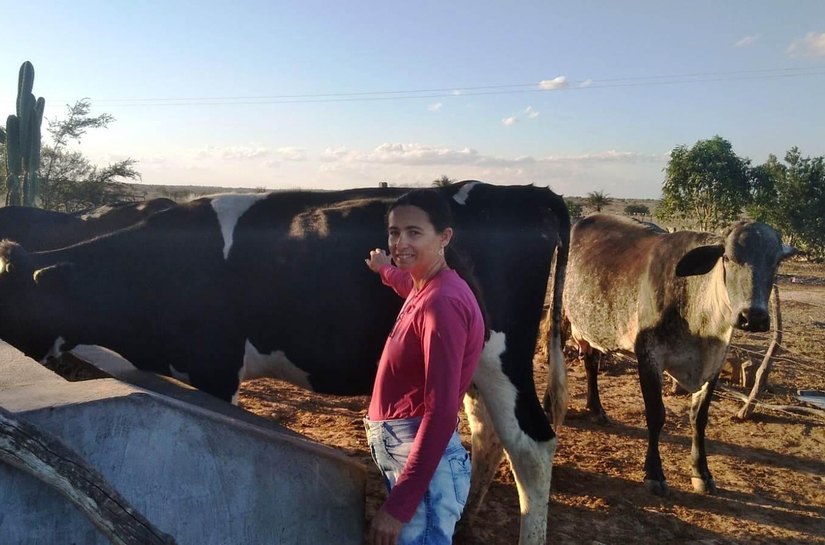 Produção de leite em Sergipe é a que mais cresce no Nordeste