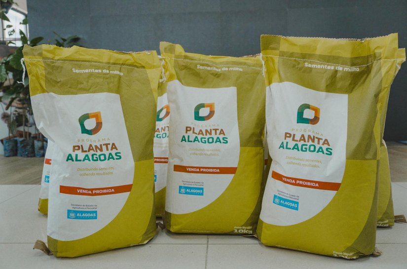 Maior programa de incentivo à produção de grãos de Alagoas vai entregar 850 toneladas de sementes em 2026