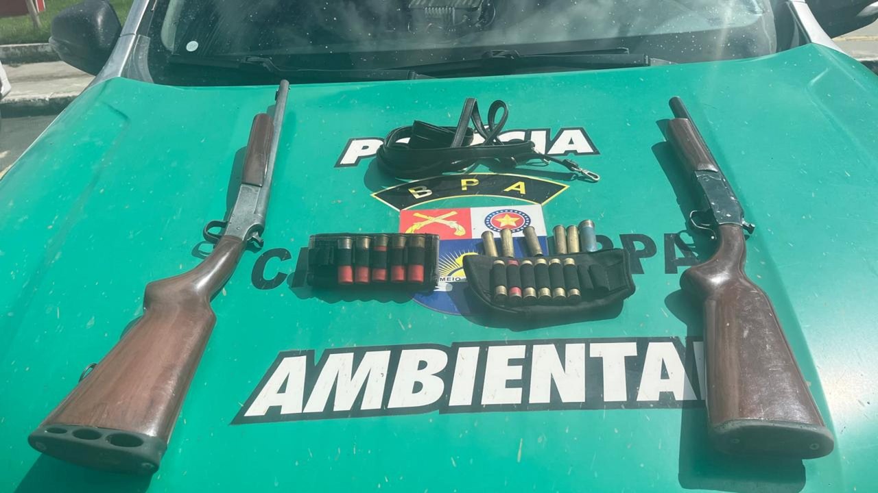 PM-AL apreende 11 armas de fogo e resgata mais de 400 aves silvestres em operação
