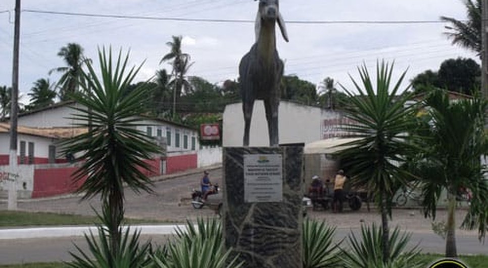 bode bito