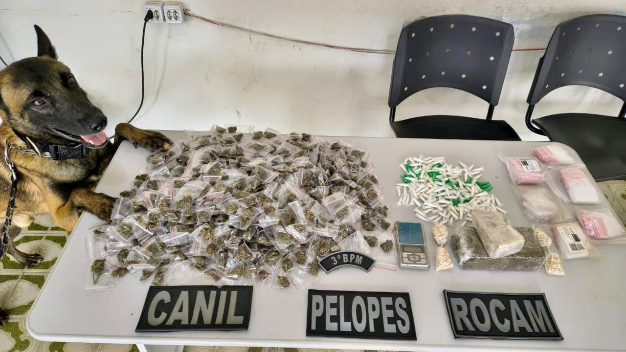 PM apreende 38 armas e mais de 665 kg de drogas em uma semana em Alagoas