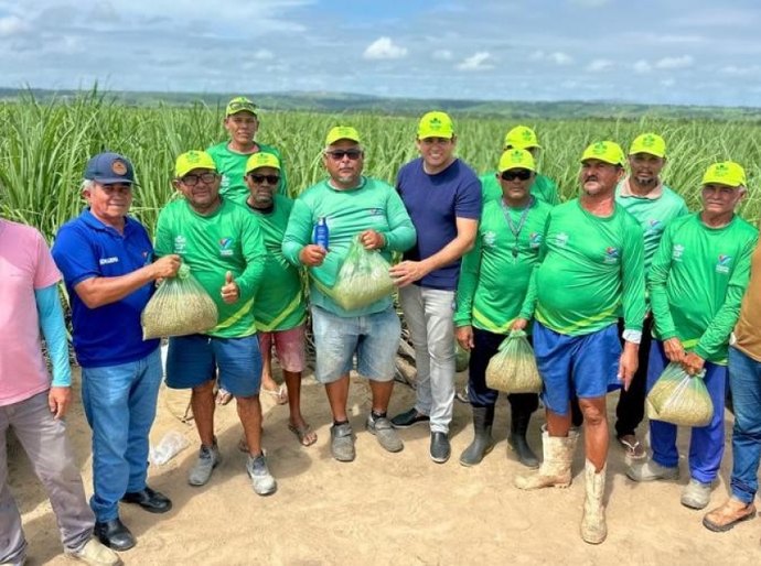 Famílias participantes do Barriga Cheia em Campo Alegre iniciam plantio e estão confiantes em mais uma produção recorde