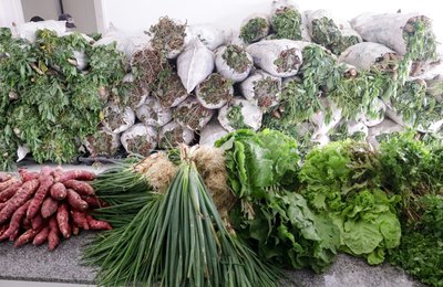 PAA entregará cerca de 60 toneladas de alimentos às famílias de Palmeira dos Índios
