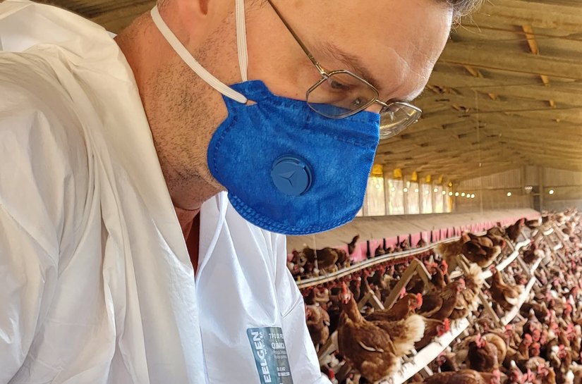 Déficit de Fiscais Estaduais Agropecuários salta de 28% para 32,6% no RS