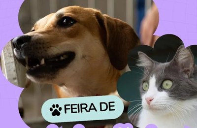 Feira de adoção: uma chance de dar um novo lar para cães e gatos de forma responsável
