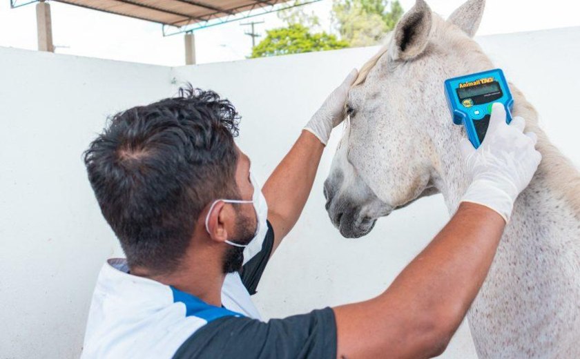 Centro de Zoonoses atua na prevenção de doenças transmitidas por animais