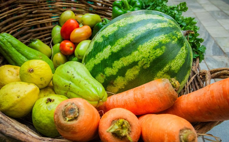 Governador sanciona lei que institui o Alagoas Sem Fome