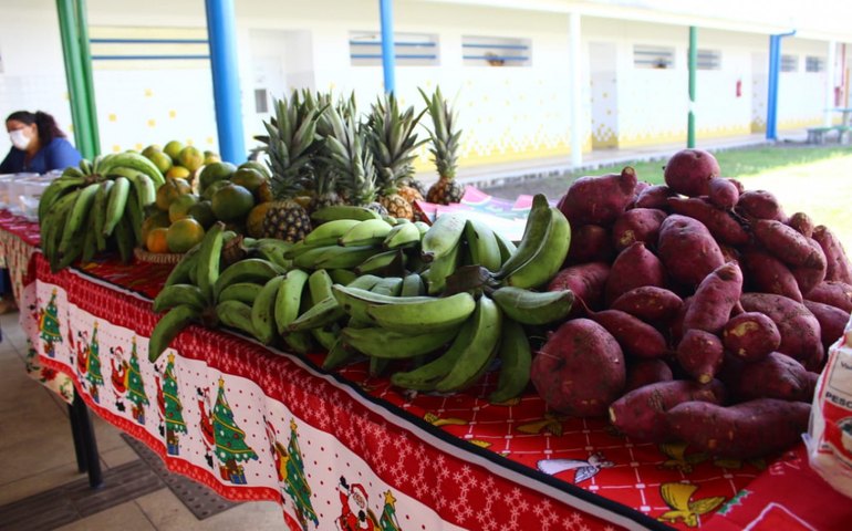 Prefeitura divulga resultado de edital para aquisição de alimentos da agricultura familiar