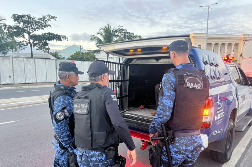 Guarda Civil Municipal prende suspeito de furto de cabos de iluminação no Jaraguá
