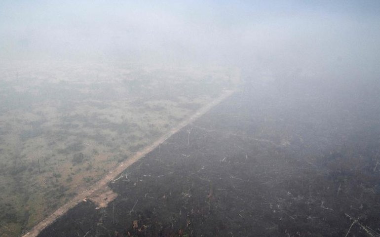 Fumaça de queimadas na Amazônia carrega 'partículas de poluição que matam milhões de pessoas no mundo’, alerta especialista