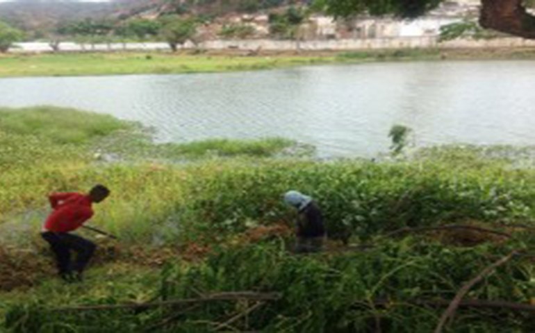 Prefeitura de Palmeira inicia trabalhos de limpeza do Lago do Goiti