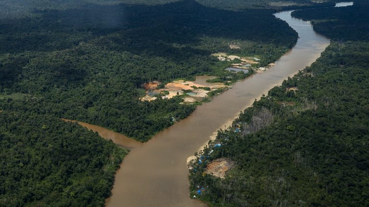 🪖 Especialista: é fundamental haver uma aliança entre as forças armadas dos países amazônicos