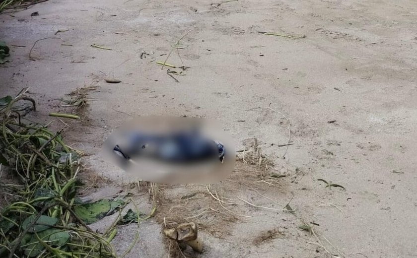 Ossada humana é encontrada na praia de São Miguel dos Milagres e levanta suspeitas sobre desaparecimentos na região