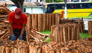 VENDAS DE FOGUEIRA EM ARACAJU / Foto: Fotos: Felipe Goettenauer