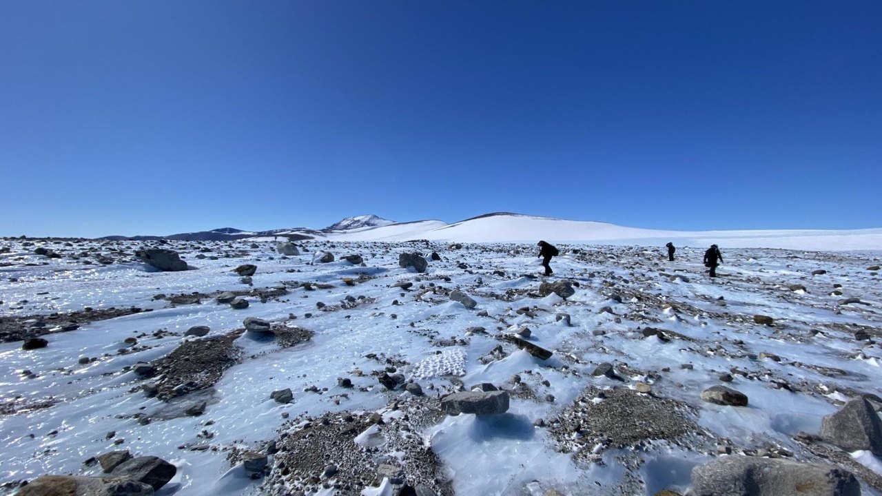 Pegada de mamífero predador de 55 milhões de anos é encontrada na Antártica