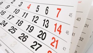calendario 
