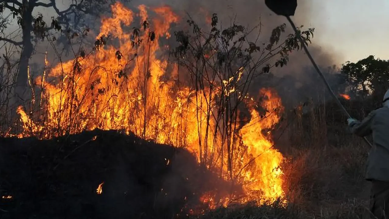 Fumaça de incêndios florestais no Canadá se espalha pelos EUA