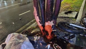 Motociclista morre após bater em árvore na Zona Sul de Aracaju / Foto: Foto: CPTran/SE