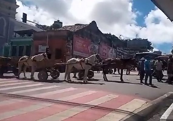Carroceiros protestam contra apreensão de animais no Centro de Maceió