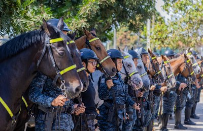 Polícia Militar celebra 43º aniversário do 3º Batalhão em Arapiraca