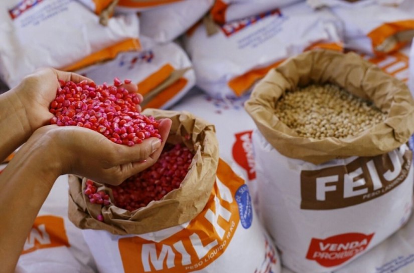 Conselho de Agricultura Familiar aprova regulação de sementes