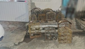 IMG_0873 (1)