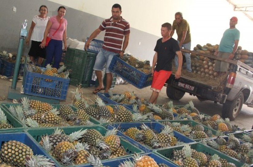 PAA melhora vida de agricultores familiares de Arapiraca