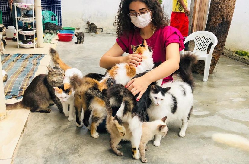 Teca Nelma cobra urgência do Hospital Público Veterinário de Maceió