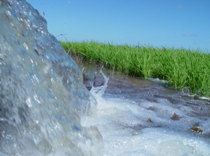 Alagoas busca meios para facilitar cessão de outorgas