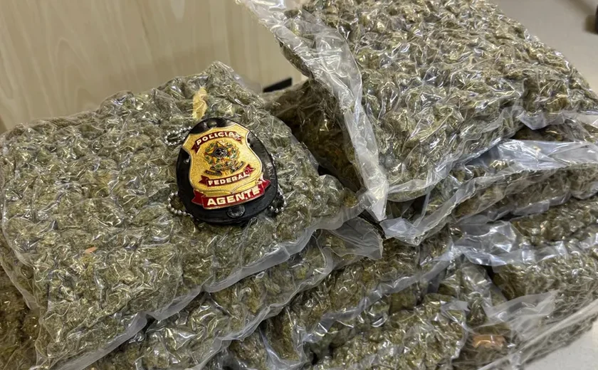 PF apreende 15 quilos de maconha no Aeroporto Zumbi dos Palmares; passageiro vindo da Bahia é preso