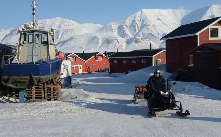 Países nórdicos desmentem Trump sobre navios russos e chineses perto da Groenlândia