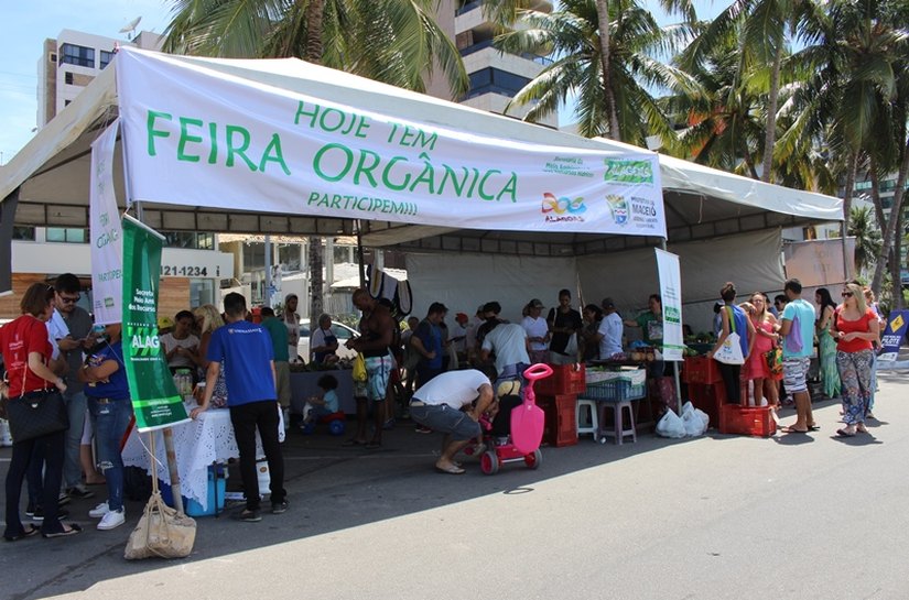 Feira Orgânica chega à quarta edição neste domingo (12) na Rua Fechada