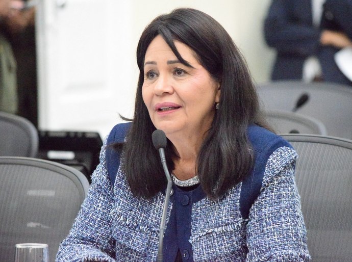 ALE aprova projeto que institui a Política de Proteção e Atenção às Crianças e Adolescentes em Orfandade