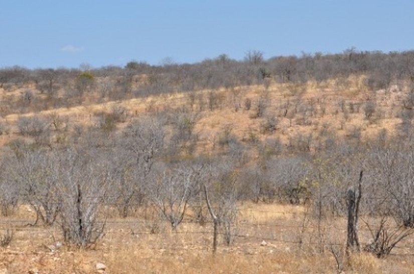 Semarh promove ações para o dia de Combate à Desertificação do Solo