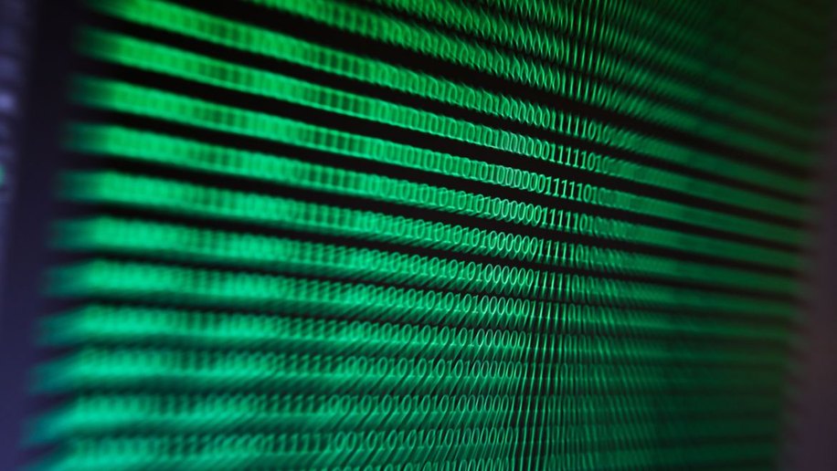 WhatsApp é principal rede de disseminação de fake news sobre covid-19