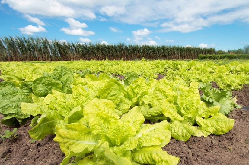 Emater apresenta projeto para cooperativas atendidas pela Desenvolve