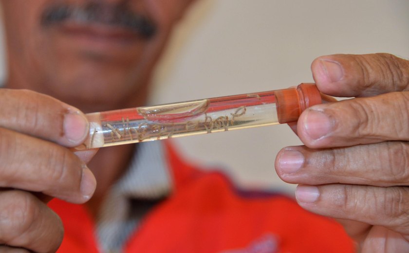 Saúde volta a alerta alagoanos sobre medidas de prevenção contra a dengue