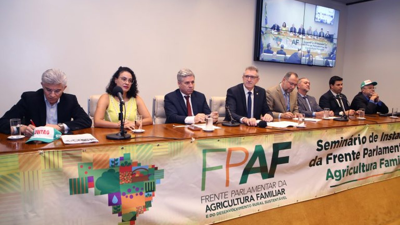 Debatedores defendem fortalecimento da agricultura familiar para reduzir a fome no País