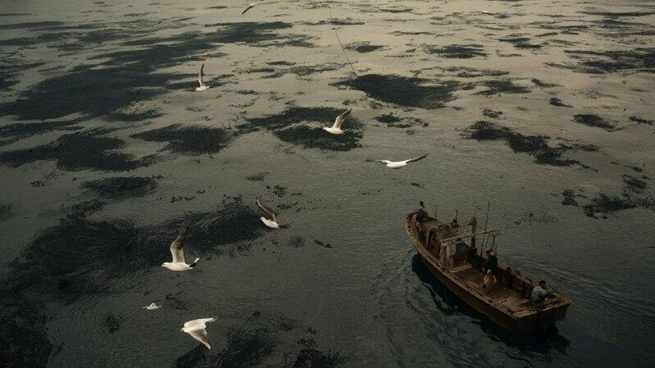 Mídia pode silenciar crise no Golfo para evitar pânico econômico, diz ecologista