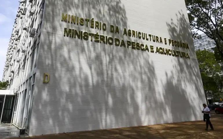 Agricultura apreende 6 mil garrafas de azeite falsificado e 28 t de feijão com impurezas em SP