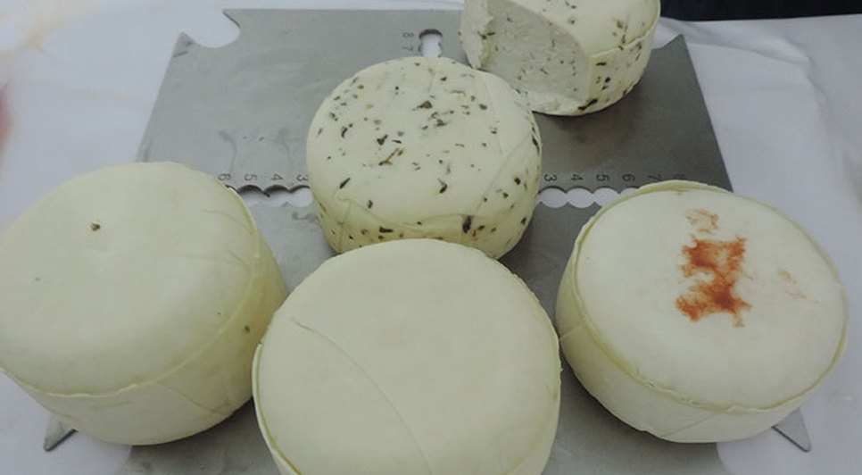 QUEIJO