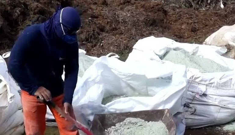 Iniciativa em Fernando de Noronha reaproveita 100% do vidro jogado no lixo