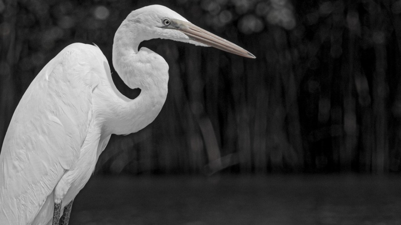 Em Marechal Deodoro (AL), mostra fotográfica apresenta diversidade socioambiental brasileira 