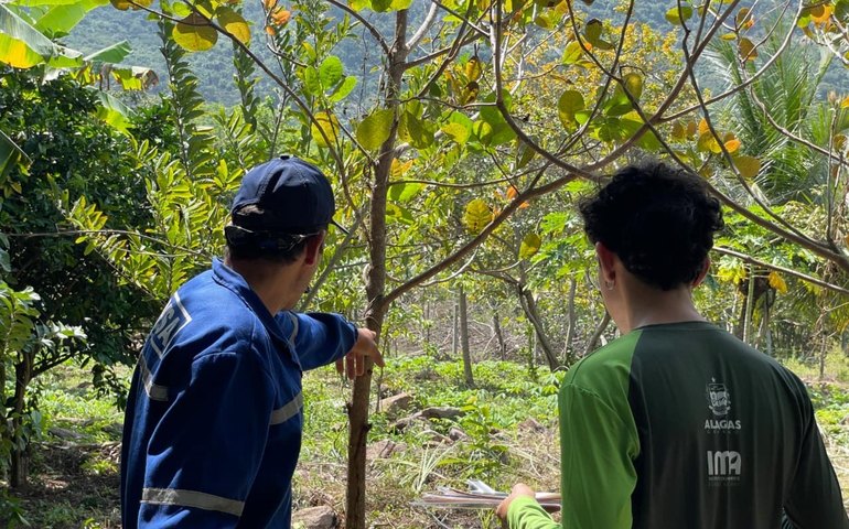 Agricultores beneficiados pelo Programa Estadual de Pagamento por Serviços Ambientais recebem vistorias do IMA