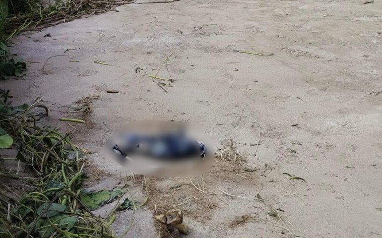 Polícia Científica atua para identificar ossada humana encontrada em São Miguel dos Milagres